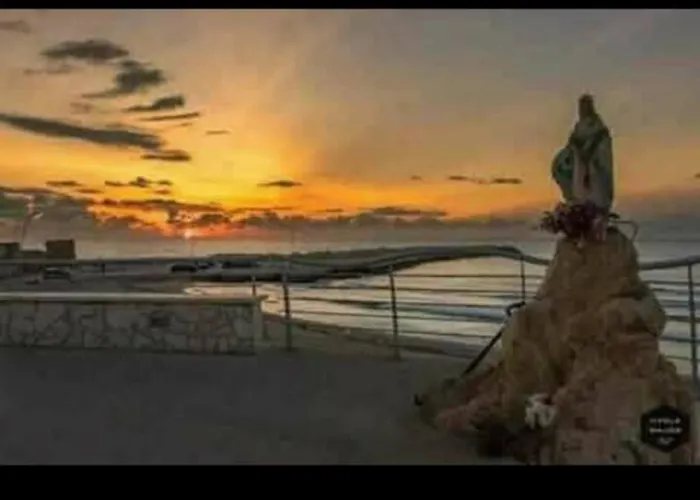 Giomatti * 阿沃拉